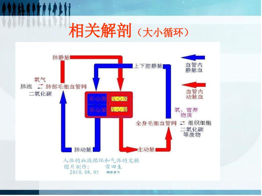 cvp与血压的关系ppt课件_第3页