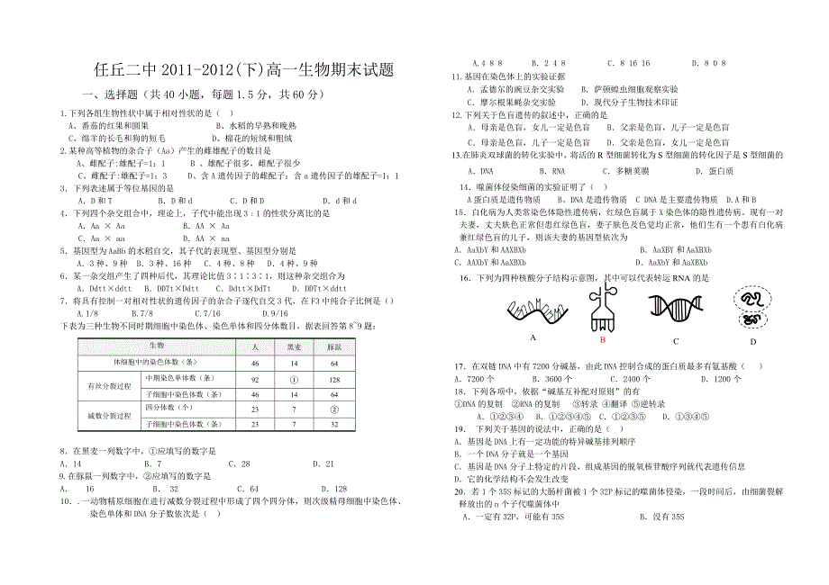 人教版-高中生物必修二期末试题_第1页