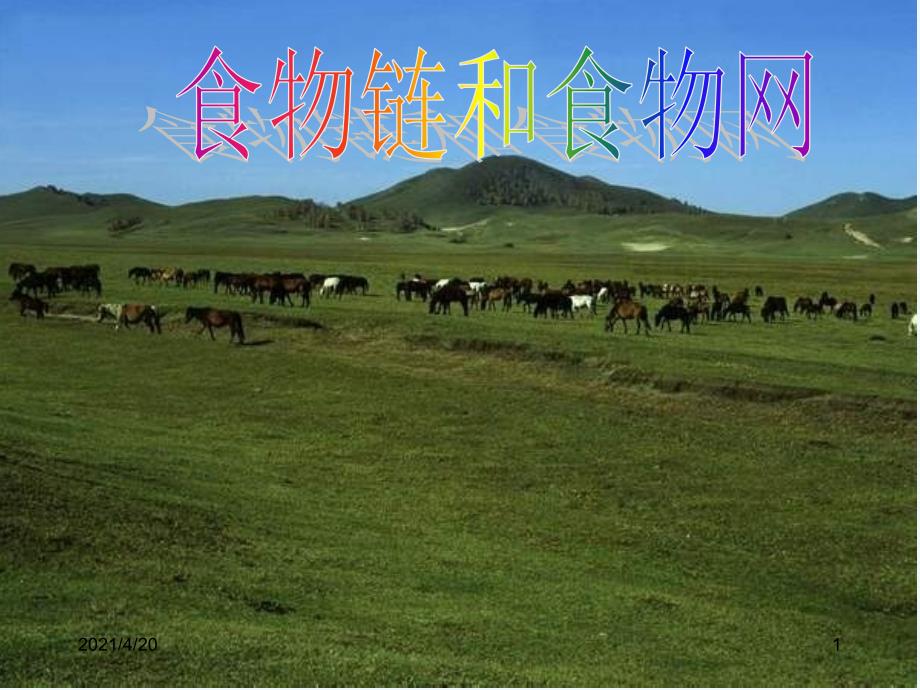 五年级上册科学课件－1.5《食物链和食物网》 ｜教科版 (共24张PPT)_第1页