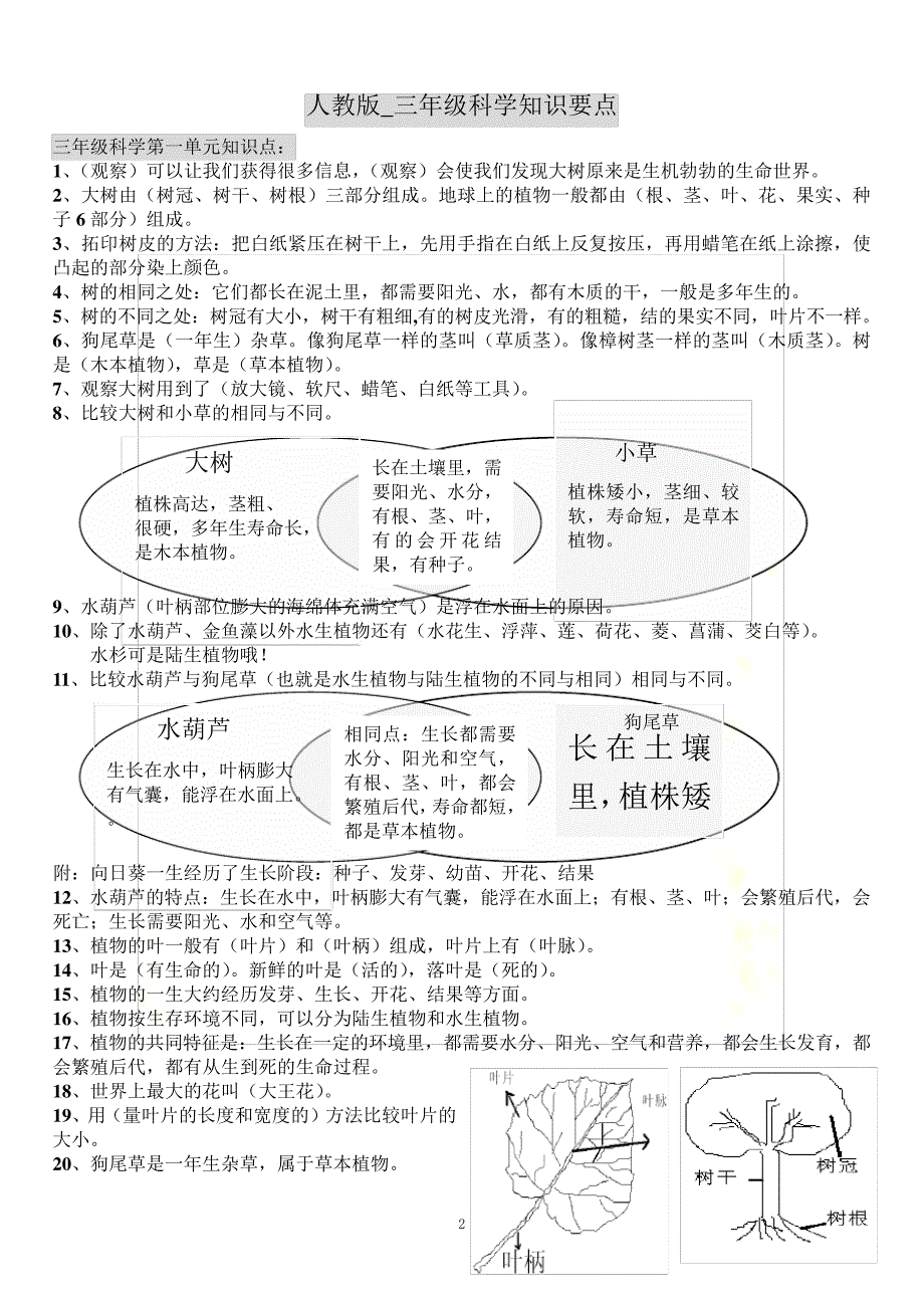 最全的人教版三年级科学知识要点精心整理_第2页