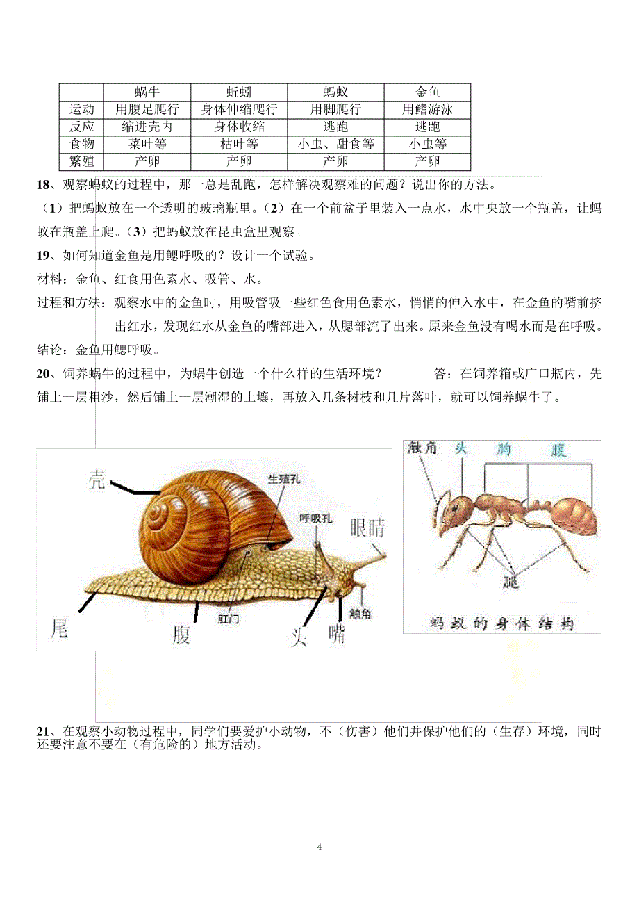 最全的人教版三年级科学知识要点精心整理_第4页