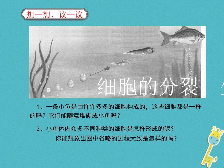 七年级生物上册 2.2多细胞生物体的结构层次2 （新版）新人教版_第2页