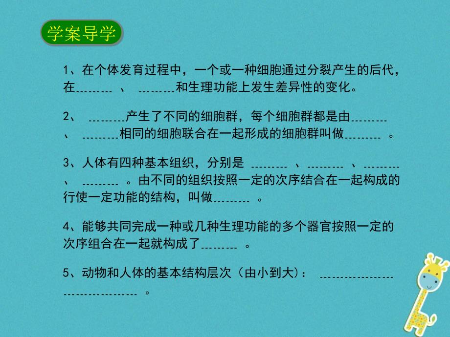 七年级生物上册 2.2多细胞生物体的结构层次2 （新版）新人教版_第4页