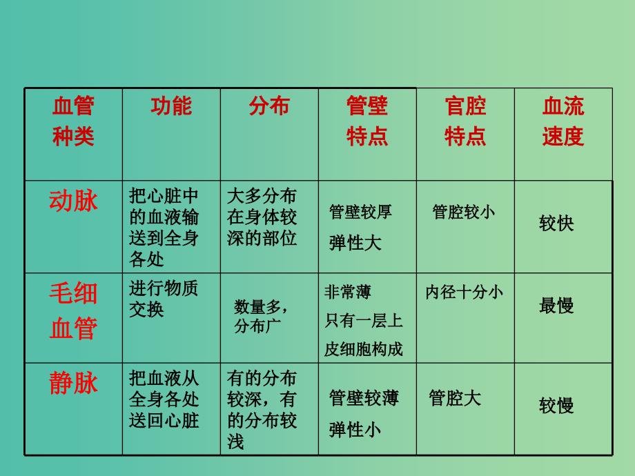 七年级生物下册 3.2 物质运输的器官课件 （新版）济南版.ppt_第2页