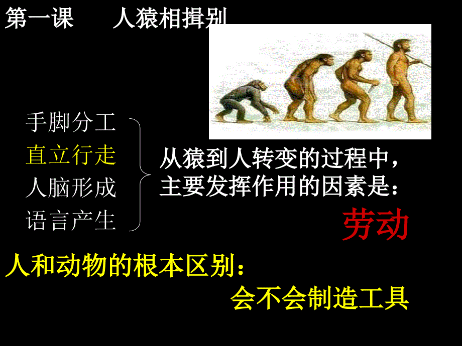 八上第一单元复习_第2页