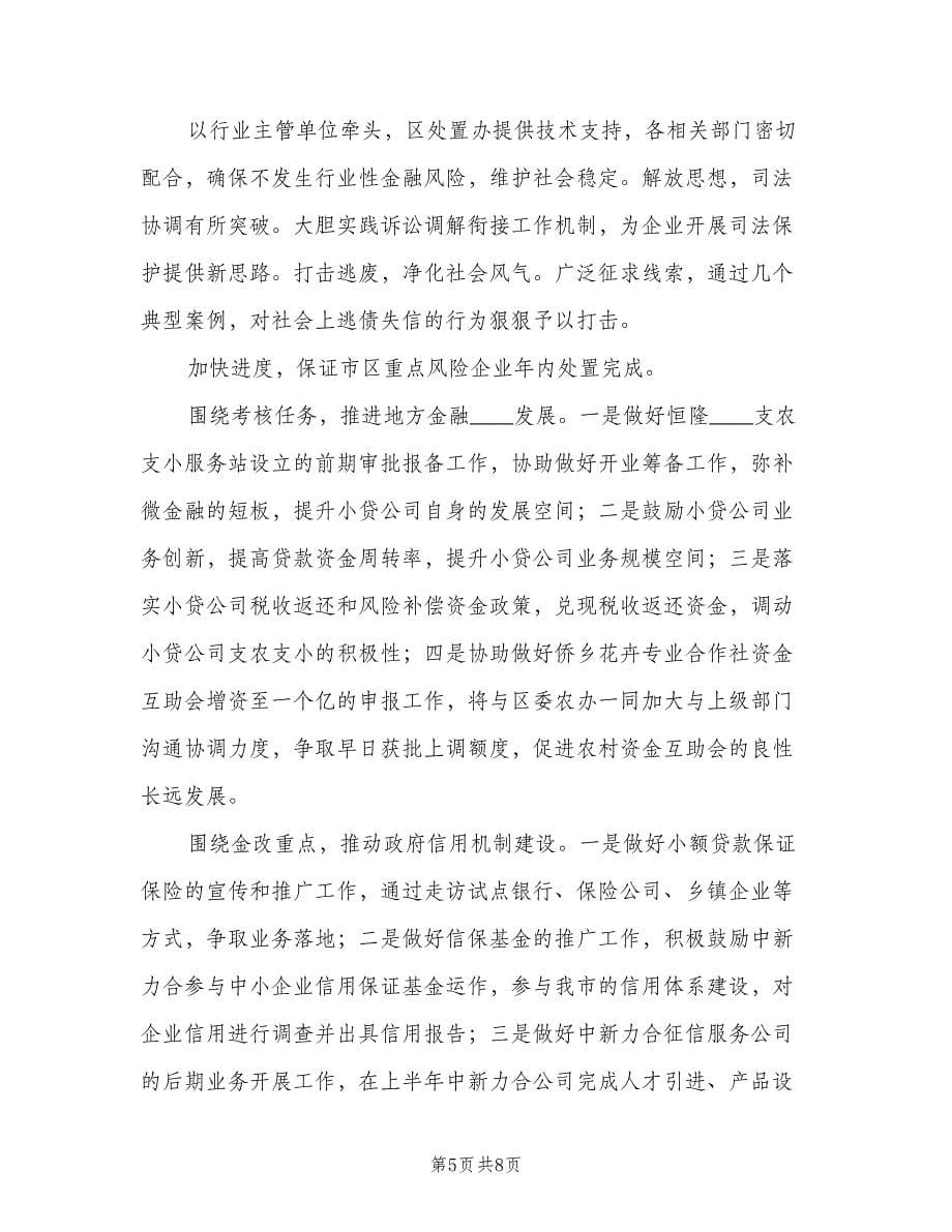 金融办上半年工作总结下半年工作计划（2篇）.doc_第5页