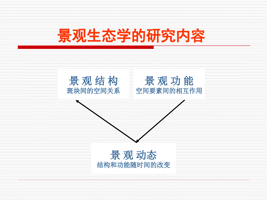 第二章景观结构_第2页