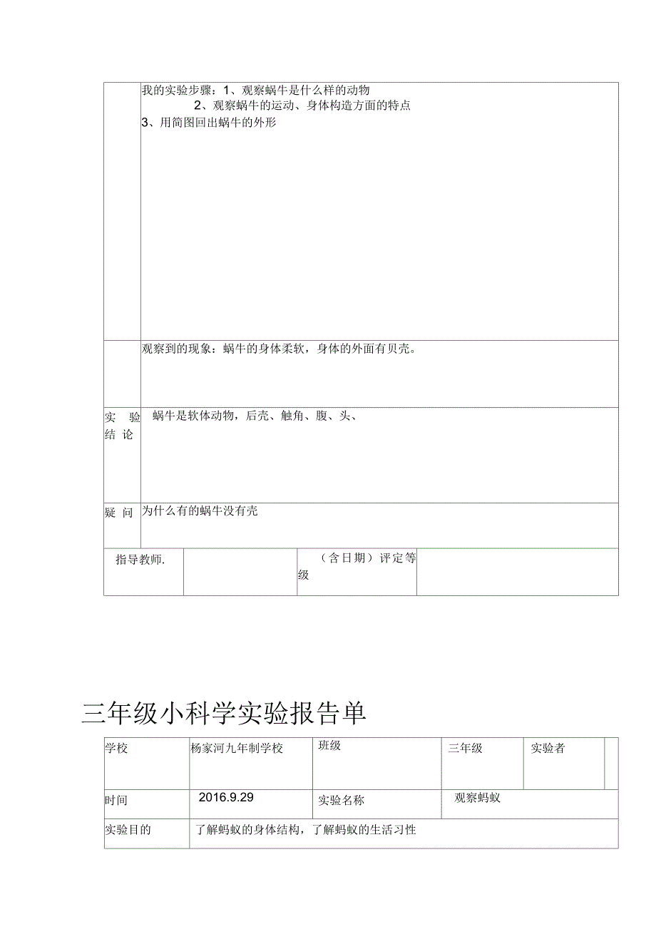 教科版三年级上册科学实验报告单汇总_第4页