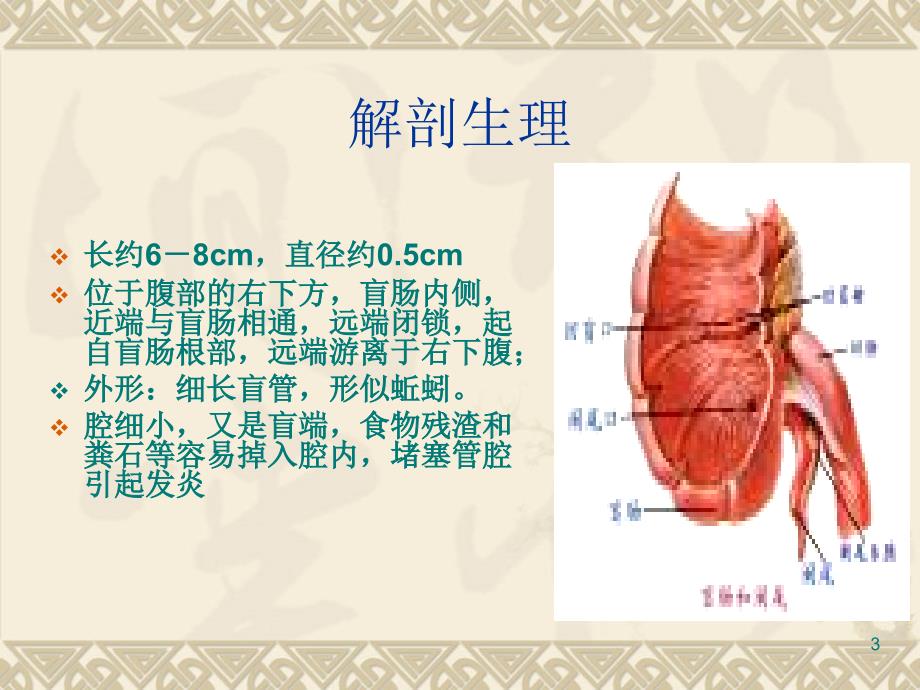 阑尾炎业务学习_第3页