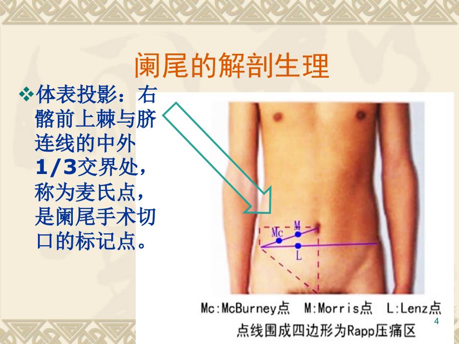 阑尾炎业务学习_第4页