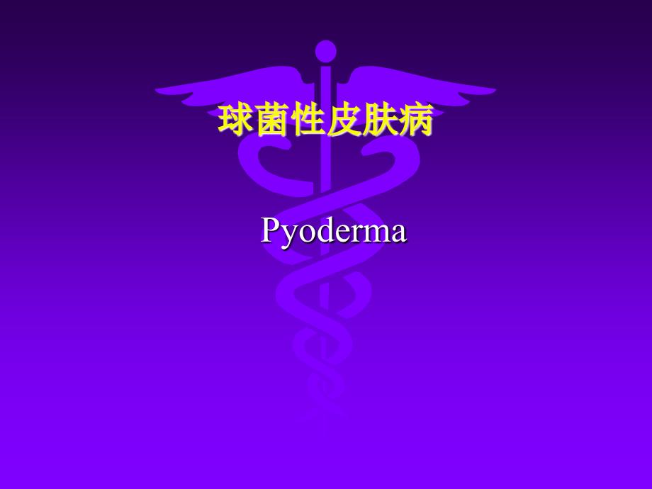 皮肤性病学教学课件：06 球菌性皮肤病_第1页