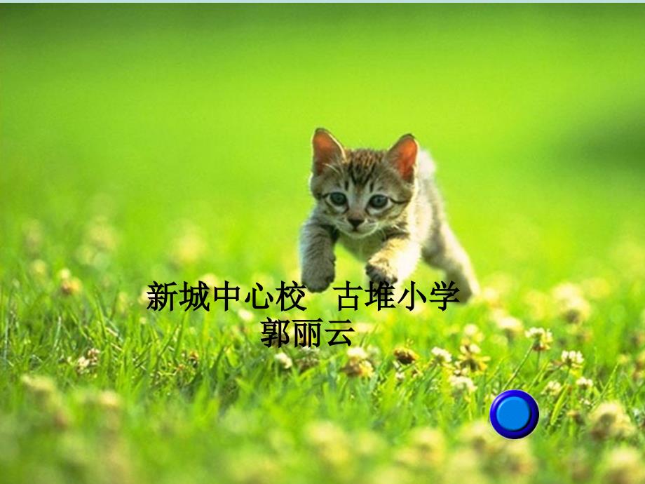 猫-公开课课件_第2页