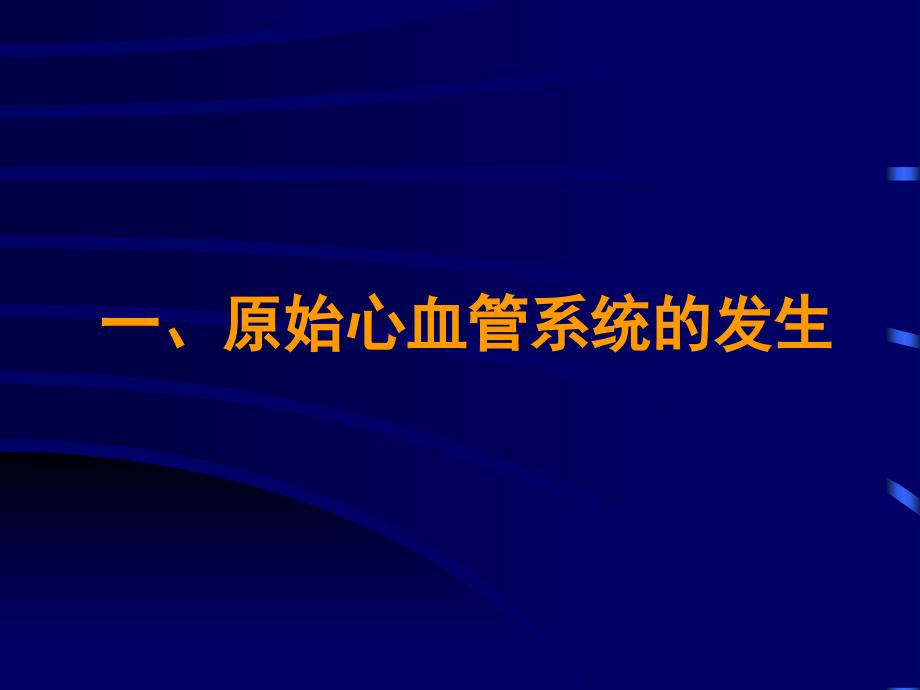 心血管系统组织胚胎学教学课件_第3页