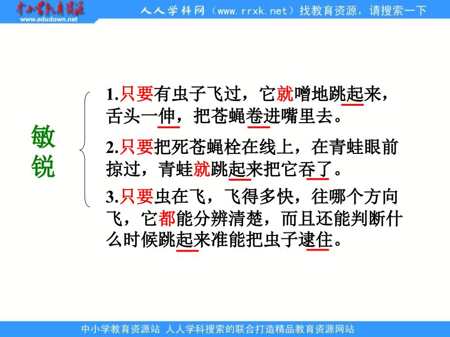 浙教版三年级下册青蛙的眼睛PPT课件_第3页