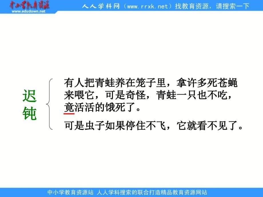 浙教版三年级下册青蛙的眼睛PPT课件_第5页