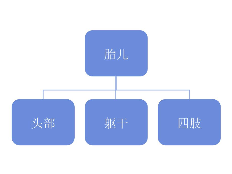 《产科检查常规切面》幻灯片_第2页