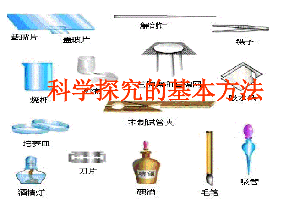 生物科学探究的基本方法_第1页