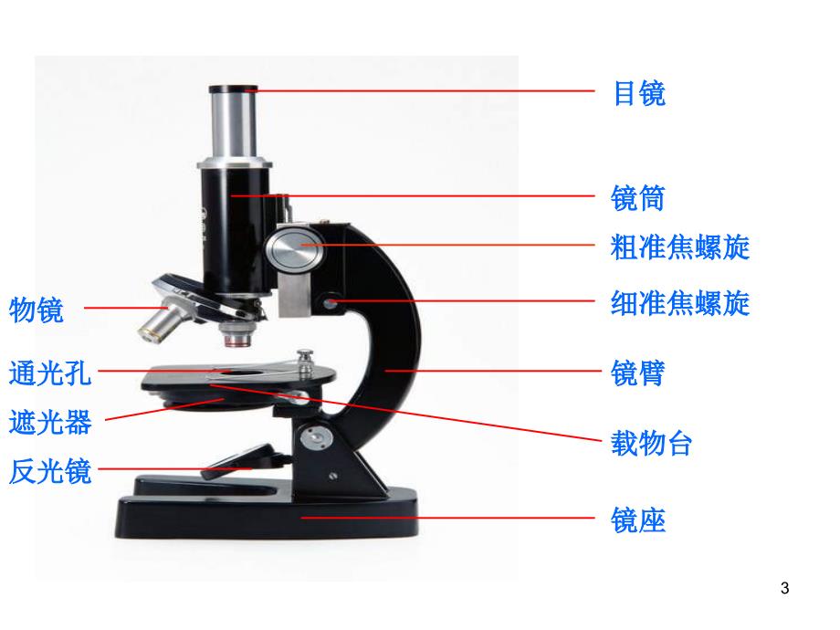 生物科学探究的基本方法_第3页