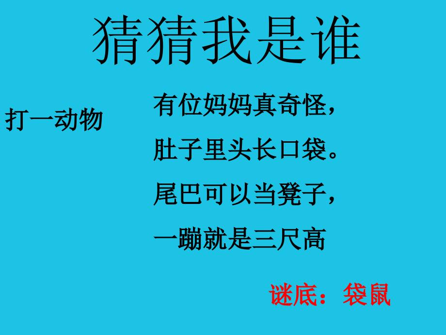 廖代利读写绘课件_第3页