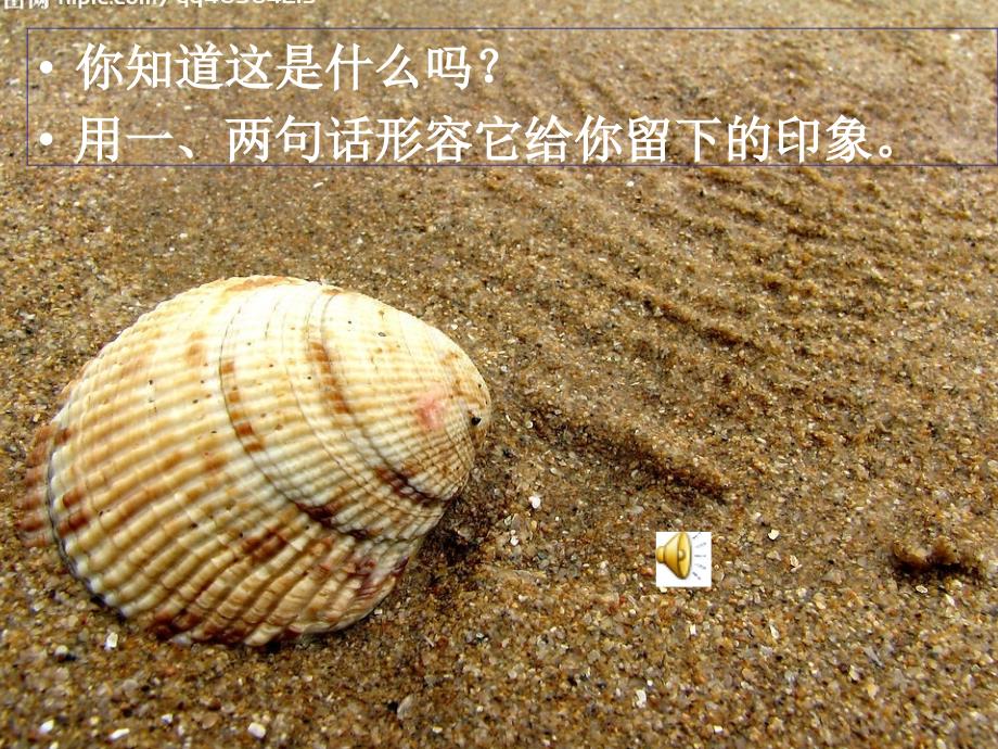 12《一只贝》课件_第1页