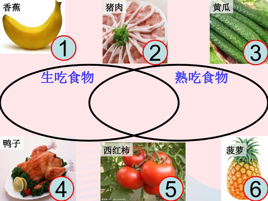 最新四年级科学下册3食物4生的食物和熟的食物课件2教科版教科版小学四年级下册自然科学课件_第3页