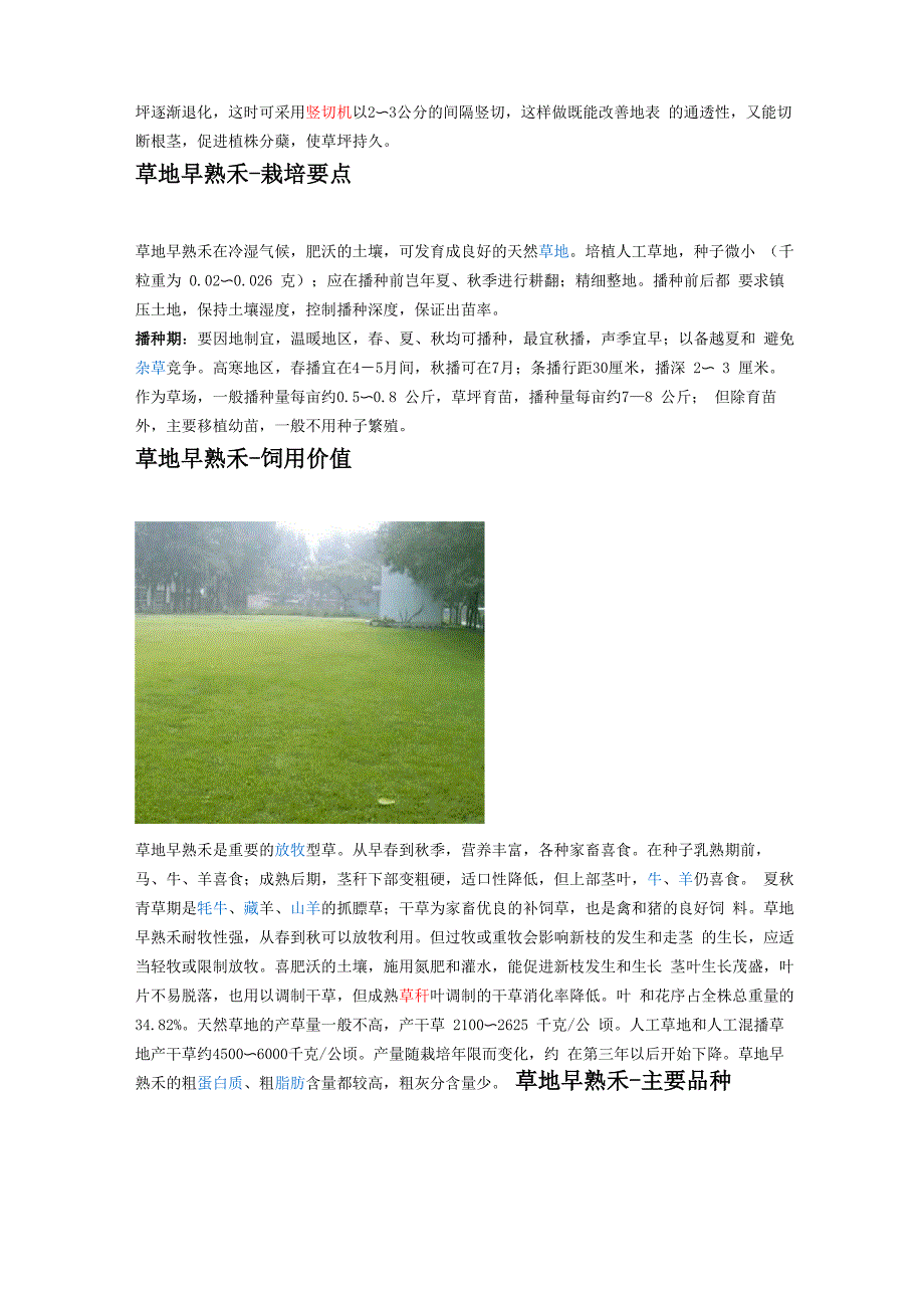 草地早熟禾_第4页