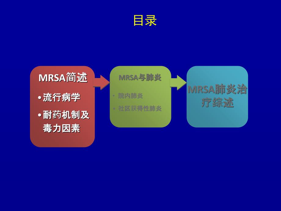 肺炎管理综述_第4页