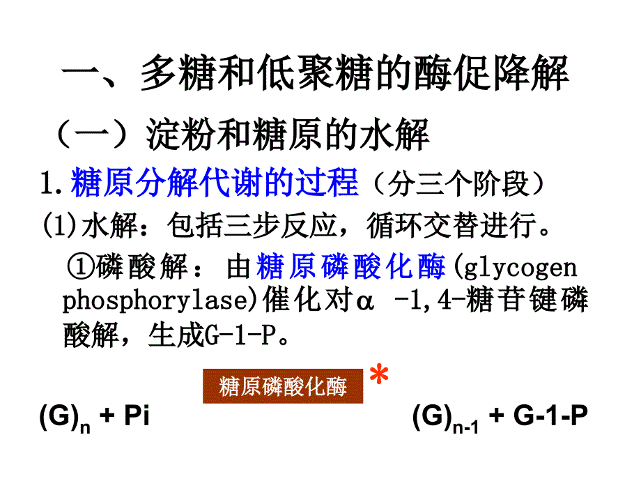 第五章糖代谢_第4页