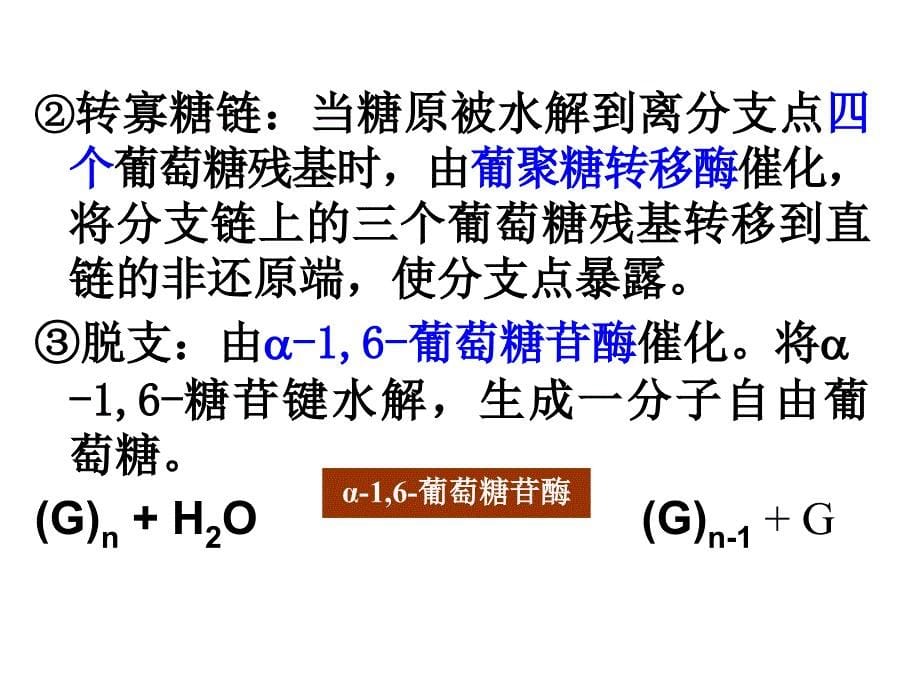 第五章糖代谢_第5页