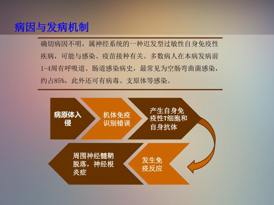 格林巴利综合症的护理查房_第4页