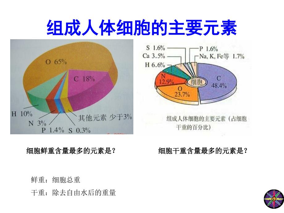 人教版生物必修一第二章复习_第3页