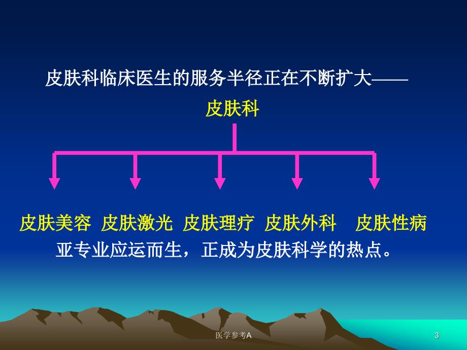 皮肤的结构与功能[参考仅供]_第3页