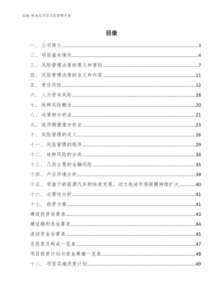 电池包项目风险管理手册_第2页