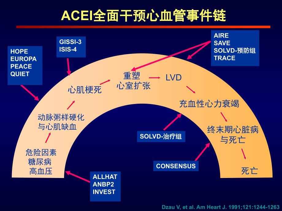 ACEI作用机制_第3页