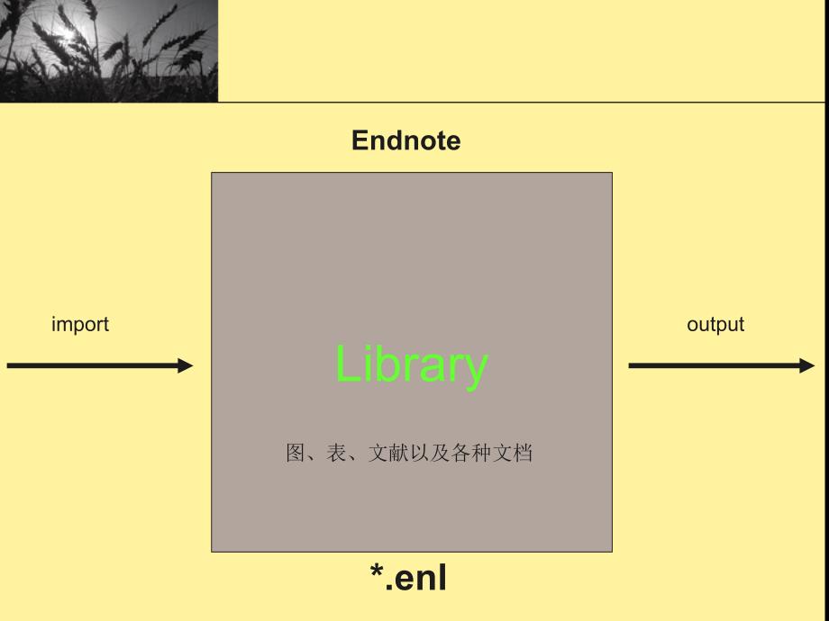 最新ENDNOTE使用方法入门培训_第3页