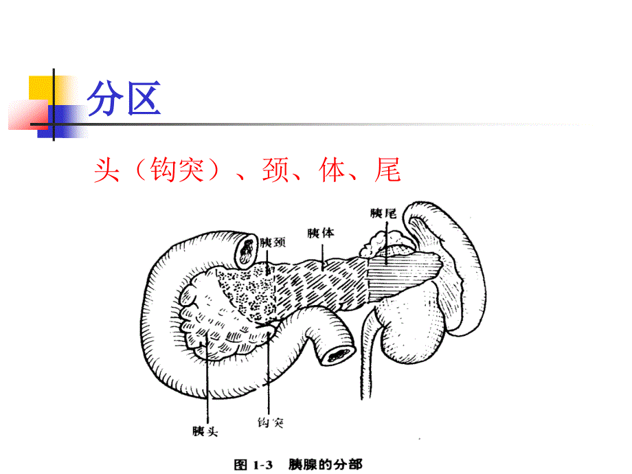 《急性胰腺炎》ppt课件_第3页