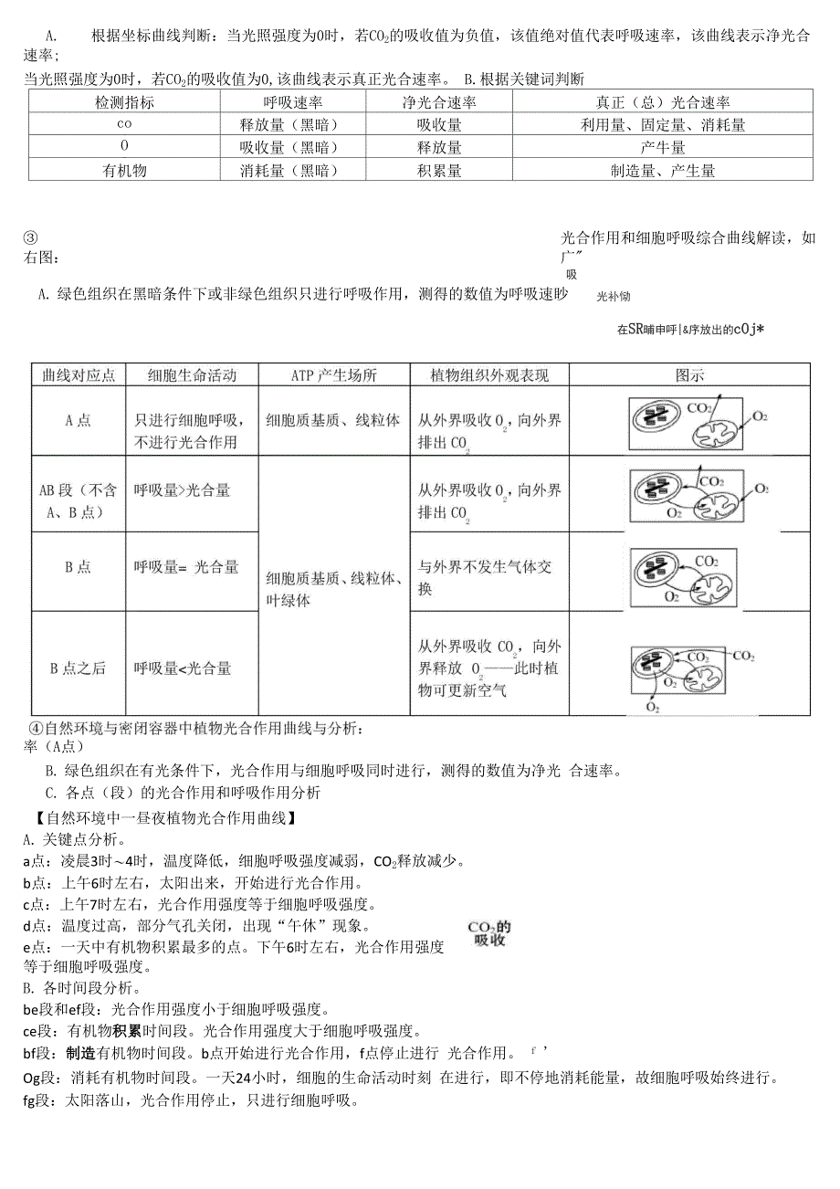 光合作用和呼吸作用题型_第4页