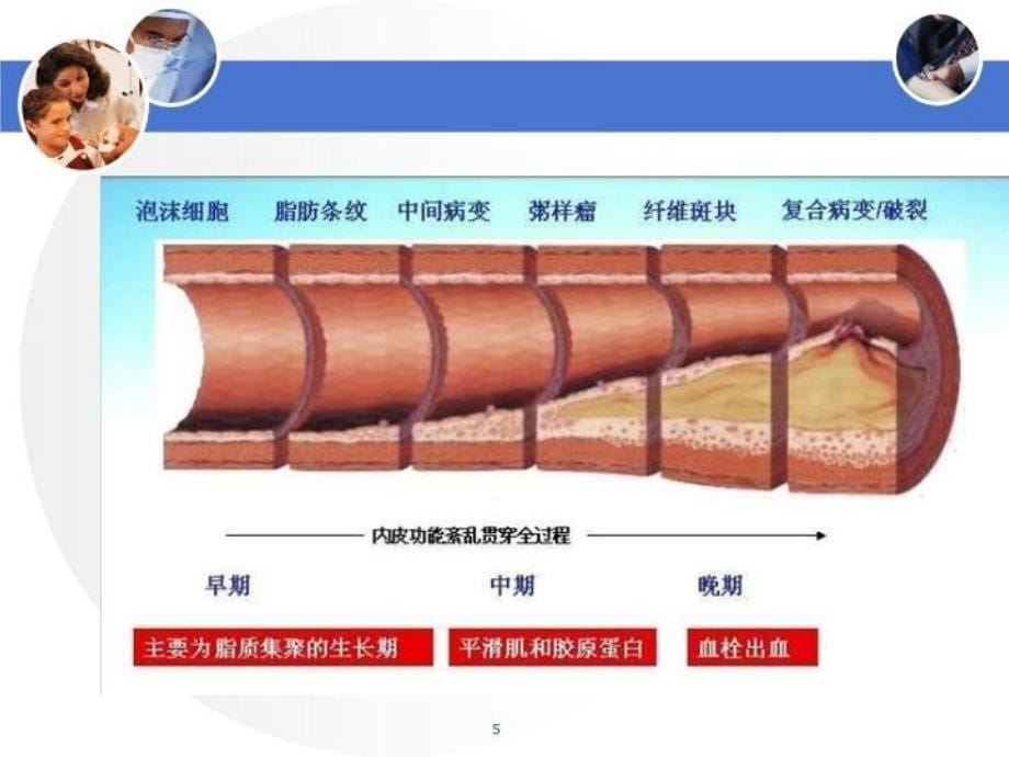 最新心脑血管病的预防PPT课件_第5页