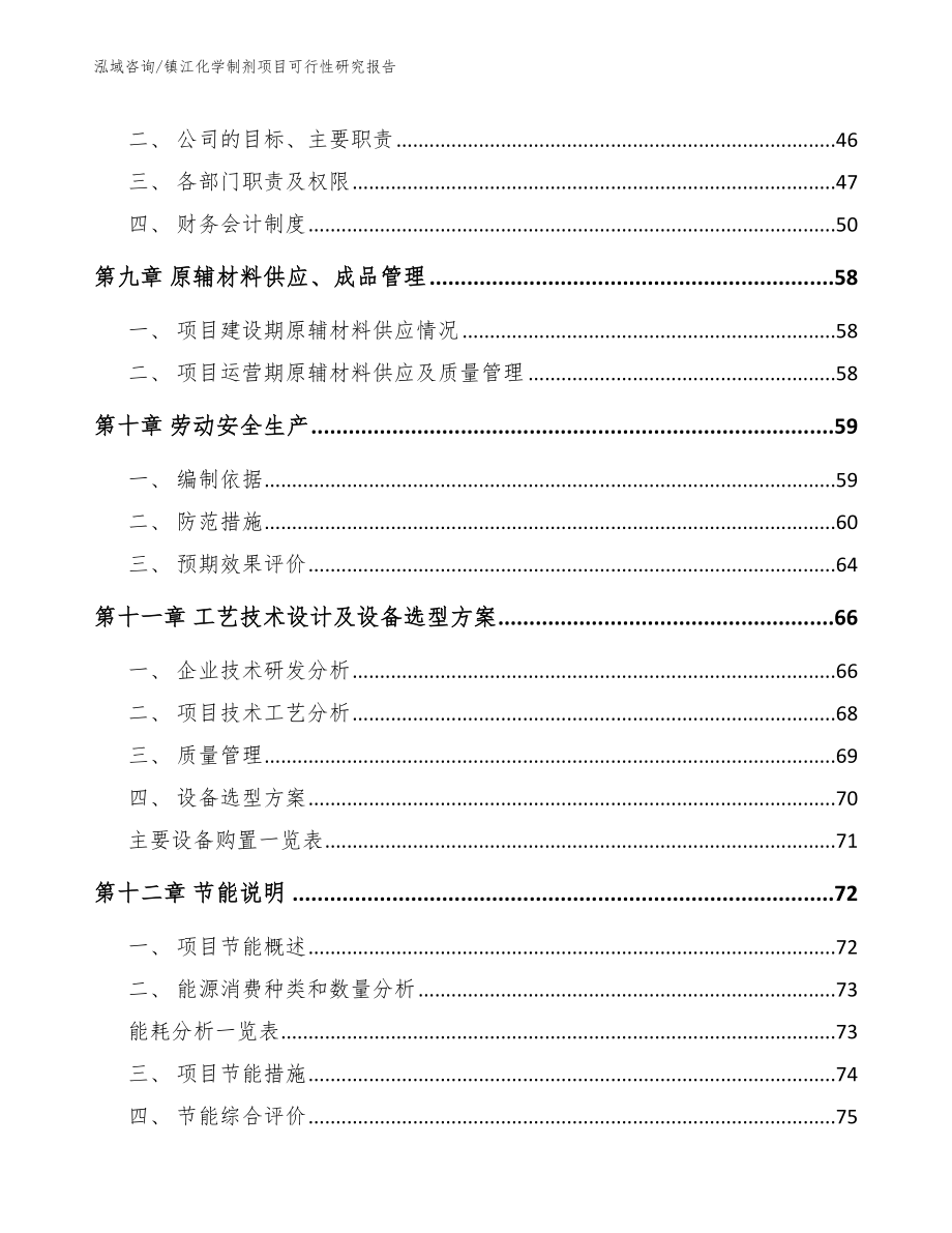 镇江化学制剂项目可行性研究报告_第3页