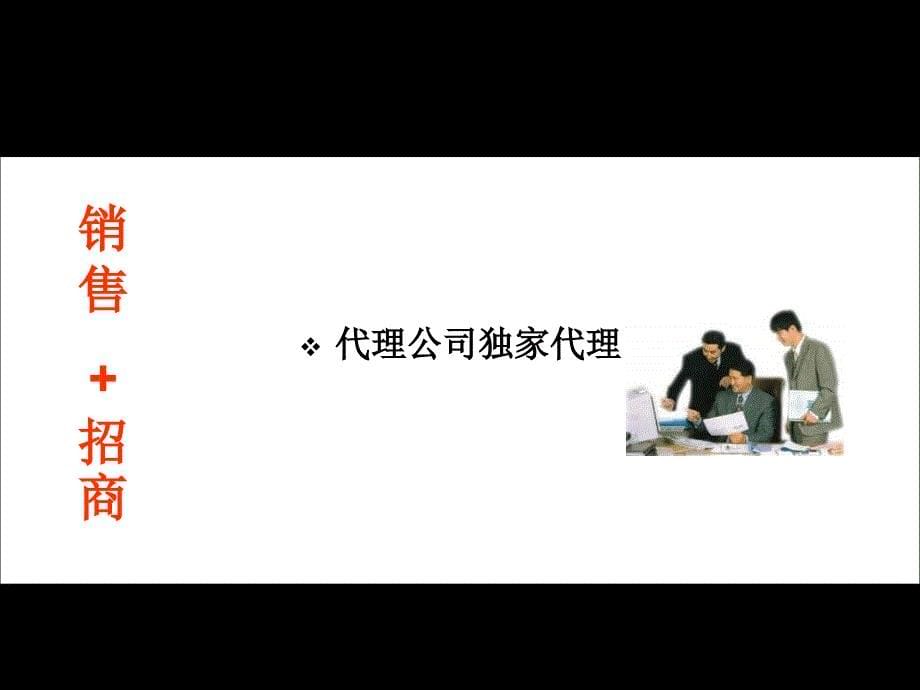 【云南容纳国际建材家居批发中心 】项目商务合作模式建议40P_第5页