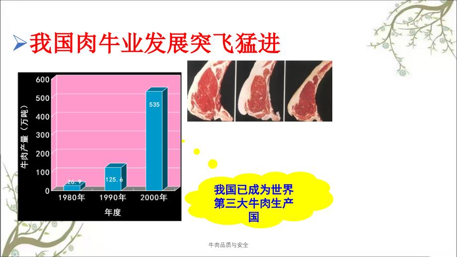 牛肉品质与安全PPT课件_第3页