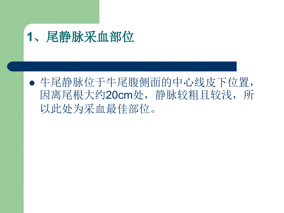 牛尾静脉采血技术_第3页