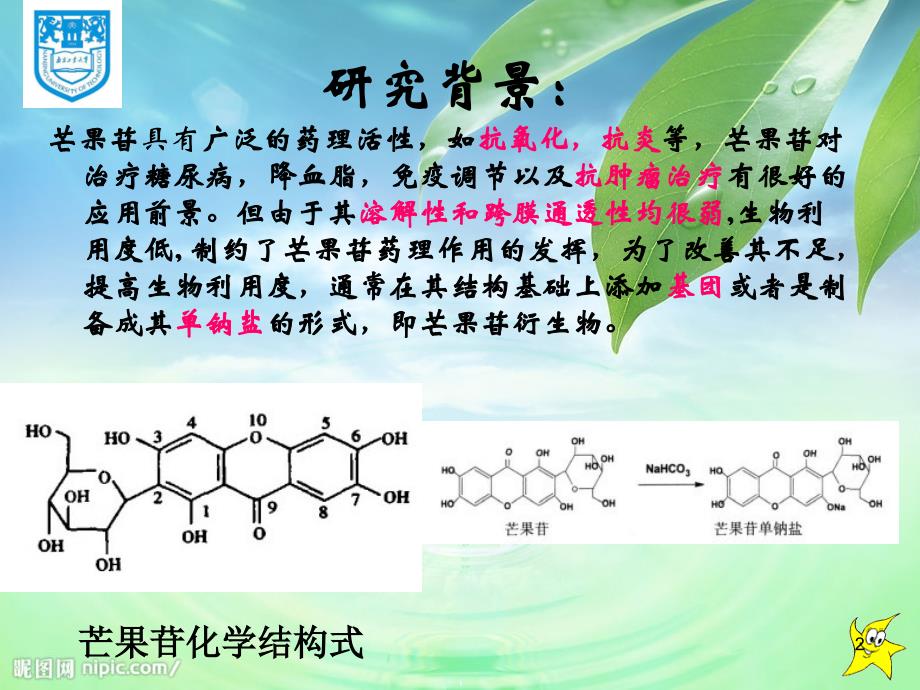 耐有机溶剂菌的筛选及芒果苷衍生物的初步探索_第2页