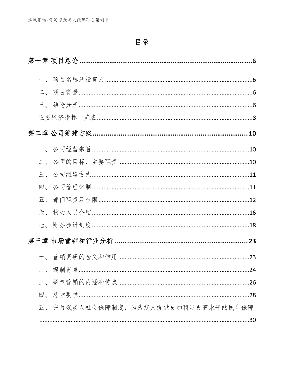 青海省残疾人保障项目策划书_第2页