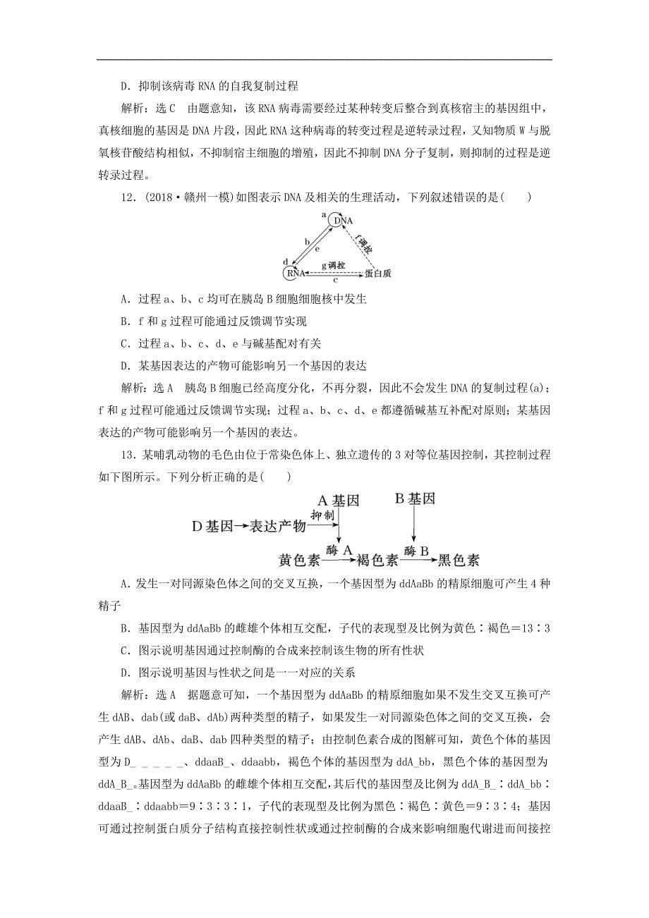 高考生物二轮复习检测六“基因的本质与表达”课前诊断卷_第5页