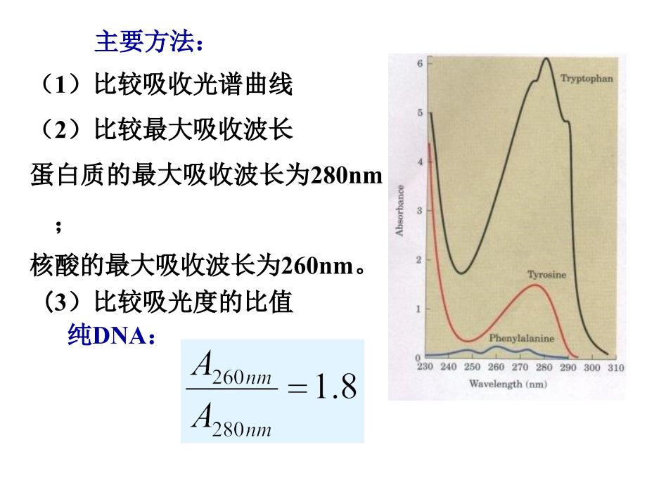 实验10双缩脲法测定蛋白质含量_第4页