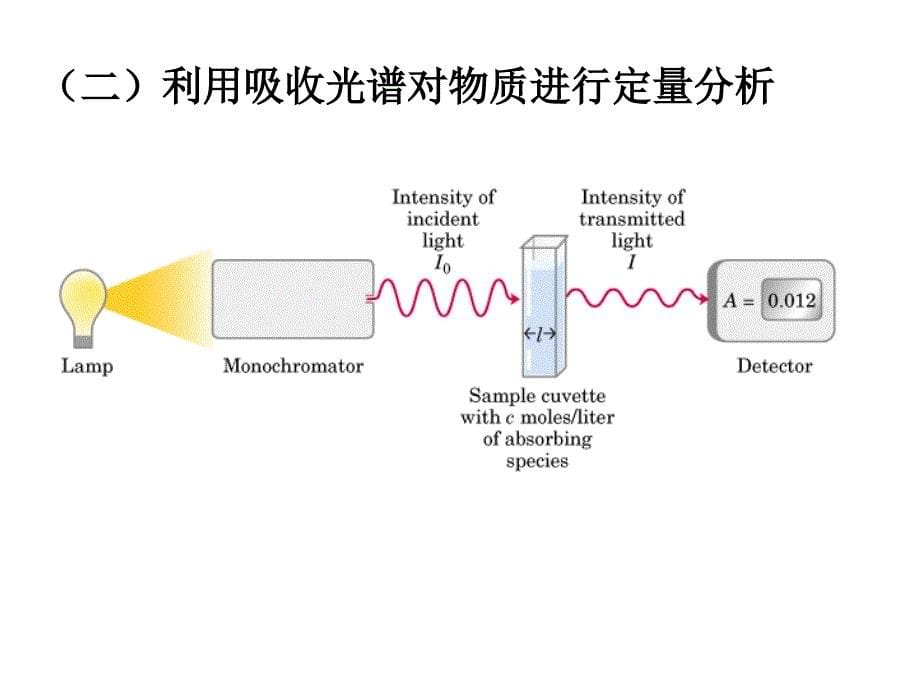 实验10双缩脲法测定蛋白质含量_第5页