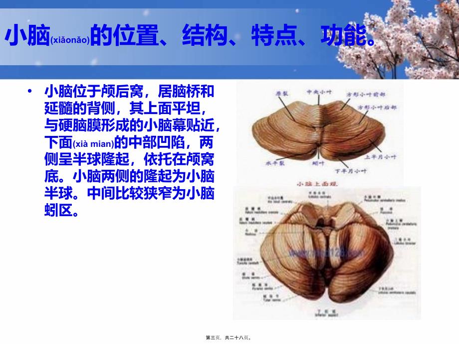 医学专题—小脑出血-2_第3页