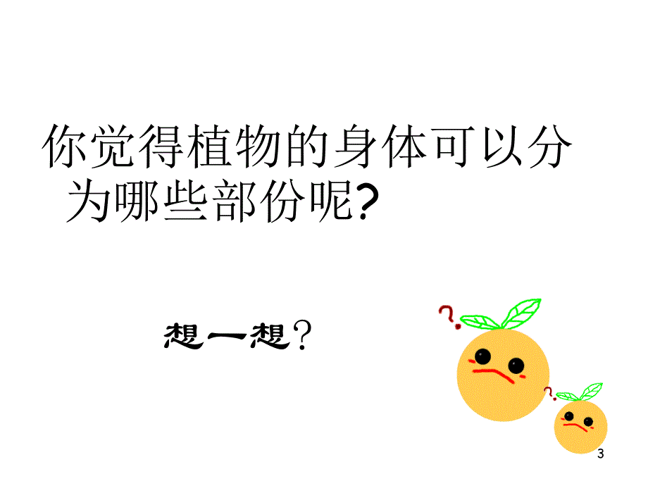 植物的身体课件_第3页