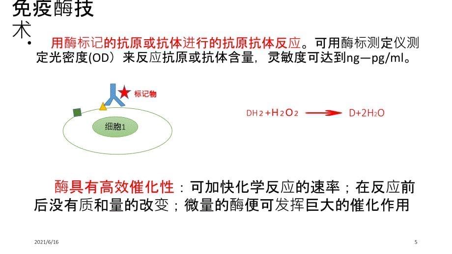 ELISA检测乙肝抗体_第5页